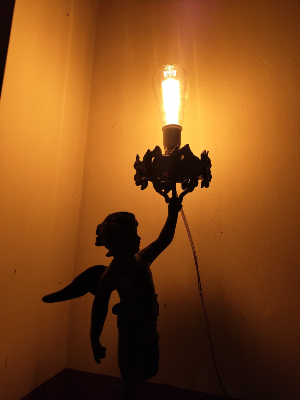 whatsapp image 2025 12 20 at 12.46.17 pm (1)